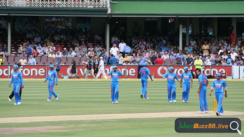 JeetBuzz helps you understand different formats of cricket matches and what ODI cricket is.